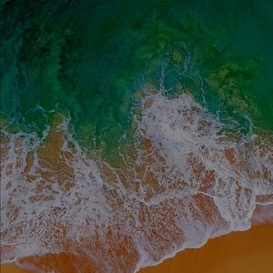 Meet your Posher, Carolyn